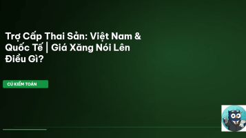 trợ cấp thai sản