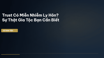 trust ly hôn
