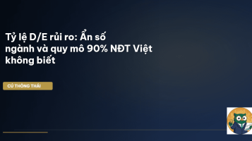tỷ lệ D/E