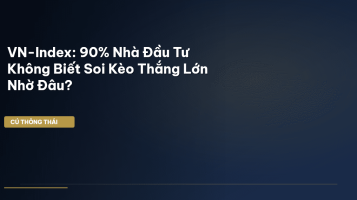VN-Index