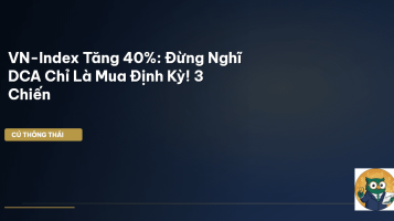 tích sản cổ phiếu DCA