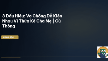 tranh chấp thừa kế