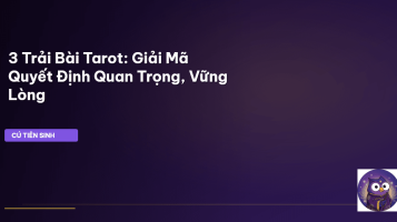 trải bài tarot