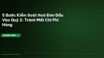 hóa đơn điện tử đầu vào