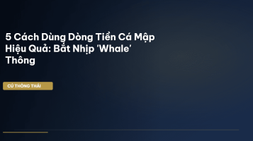 dòng tiền cá mập