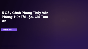 cây cảnh phong thủy văn phòng
