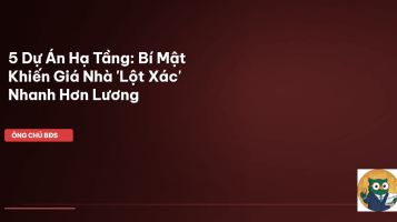 hạ tầng giao thông