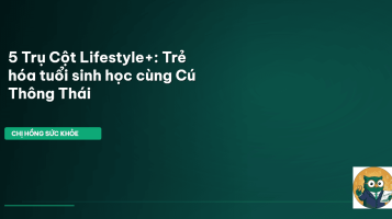 lifestyle 5 trụ cột