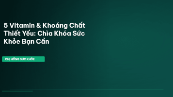vitamin và khoáng chất