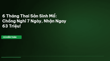 trợ cấp thai sản 2025