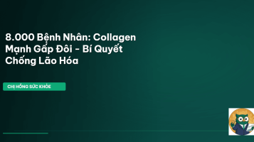 collagen chống lão hóa