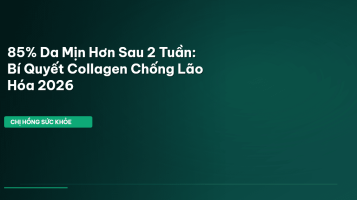 collagen chống lão hóa