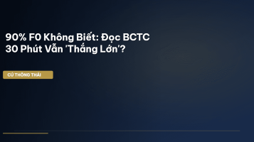 đọc bctc nhanh