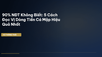 dòng tiền cá mập