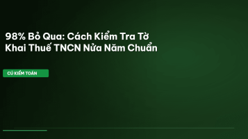 kiểm tra tờ khai thuế TNCN