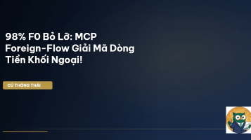 MCP foreign-flow