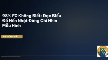 biểu đồ nến Nhật