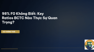 Key Ratios BCTC