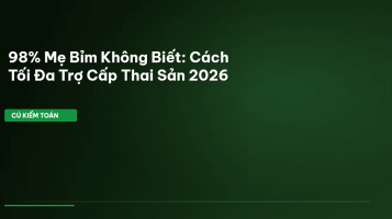 trợ cấp thai sản 2026