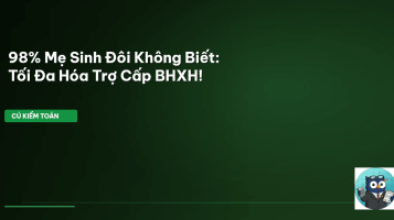 trợ cấp sinh đôi