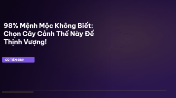 phong thủy mệnh Mộc