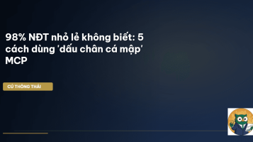 dấu chân cá mập