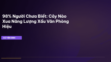 phong thủy văn phòng