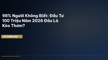 đầu tư 100 triệu 2026