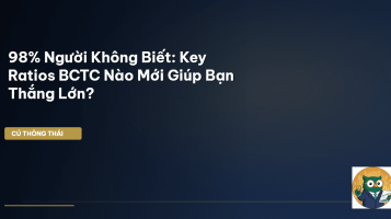 Key Ratios BCTC