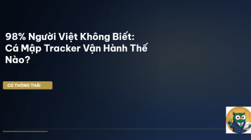 cá mập tracker