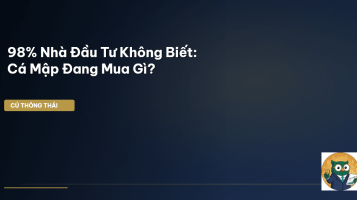 dòng tiền cá mập