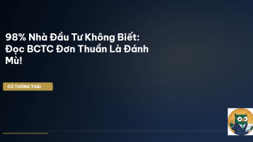 phân tích BCTC chuyên sâu