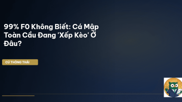 Cá Mập Toàn Cầu