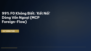MCP foreign-flow