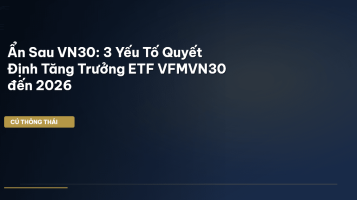 ETF VFMVN30