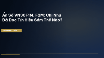 VN30F1M