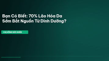 thực phẩm chống lão hóa da