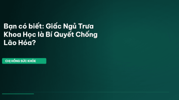 giấc ngủ trưa