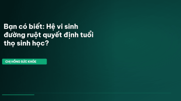 hệ vi sinh đường ruột
