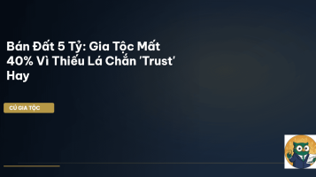 trust là gì