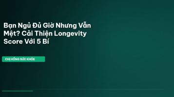 giấc ngủ chất lượng