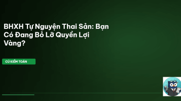 BHXH tự nguyện thai sản