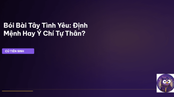 bói bài tây tình yêu