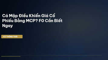 cá mập đầu tư