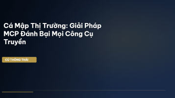 dòng tiền cá mập