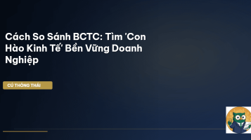 so sánh BCTC
