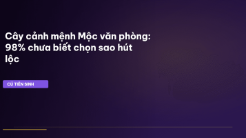 cây cảnh mệnh mộc văn phòng