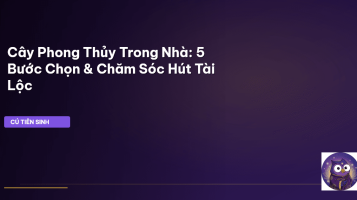 cây phong thủy