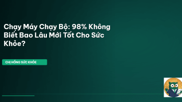 chạy máy chạy bộ