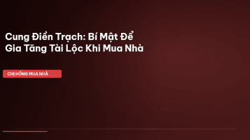 cung điền trạch